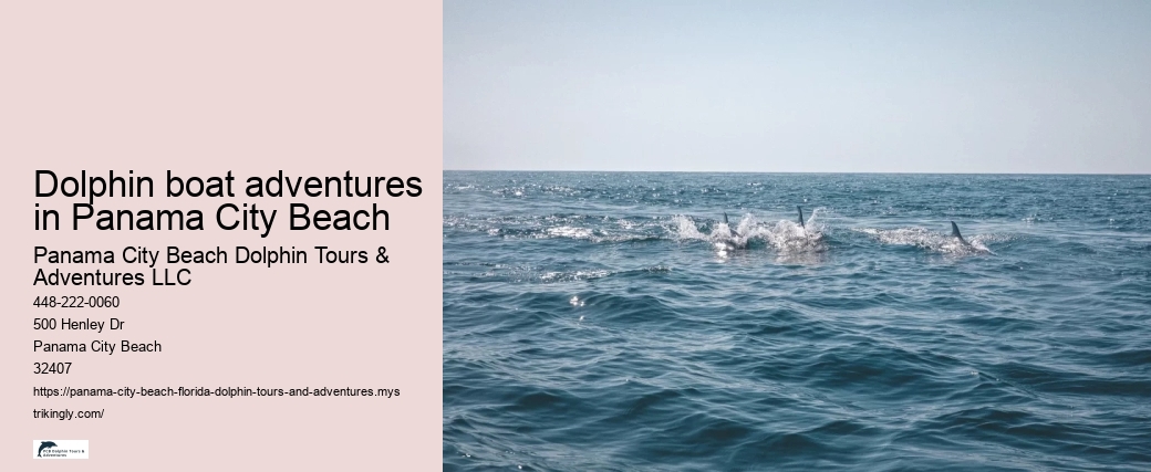 Dolphin boat adventures in Panama City Beach