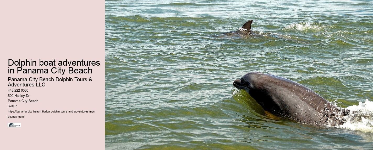 Dolphin safari tours in Panama City Beach