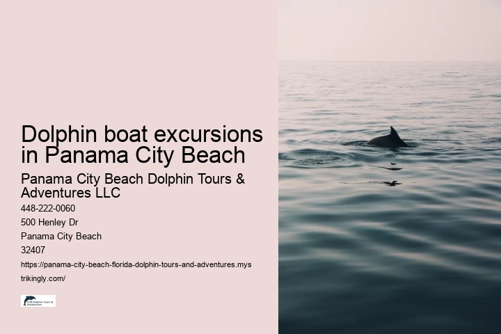 Dolphin boat excursions in Panama City Beach