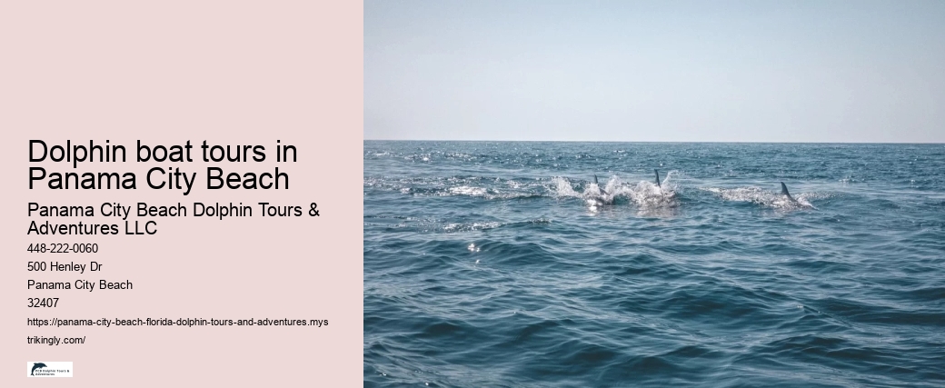 Dolphin boat tours in Panama City Beach