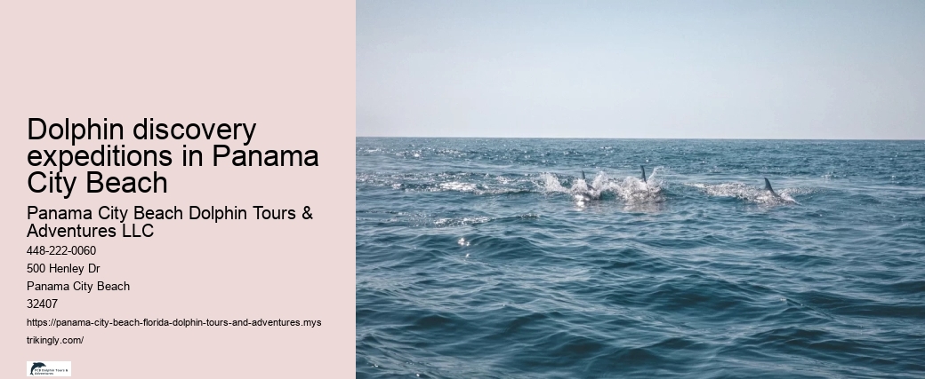 Dolphin discovery expeditions in Panama City Beach