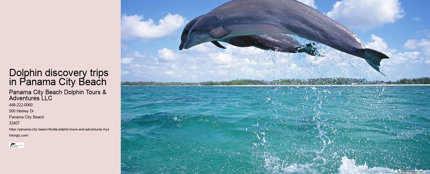Panama City Beach dolphin sightseeing cruises