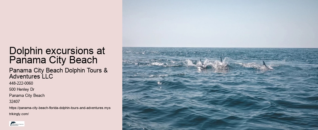 Dolphin excursions at Panama City Beach