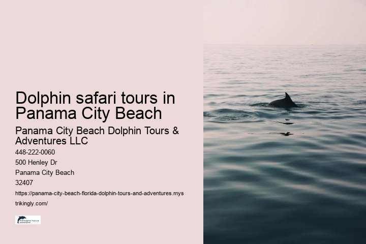 Dolphin safari tours in Panama City Beach