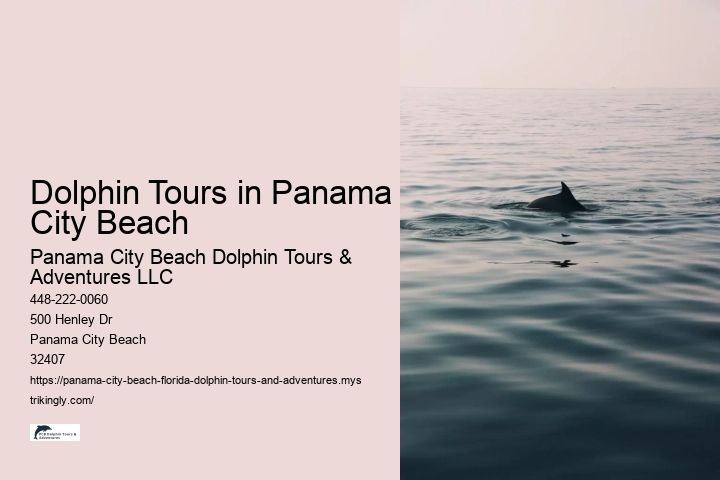 Dolphin Tours in Panama City Beach