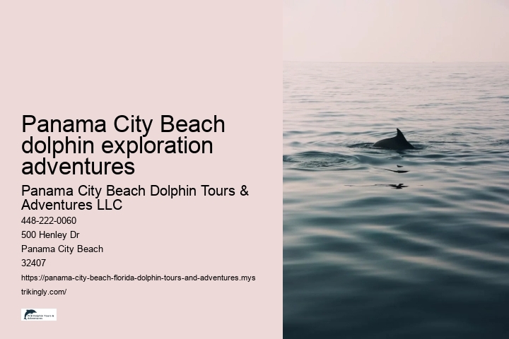 Panama City Beach dolphin exploration adventures