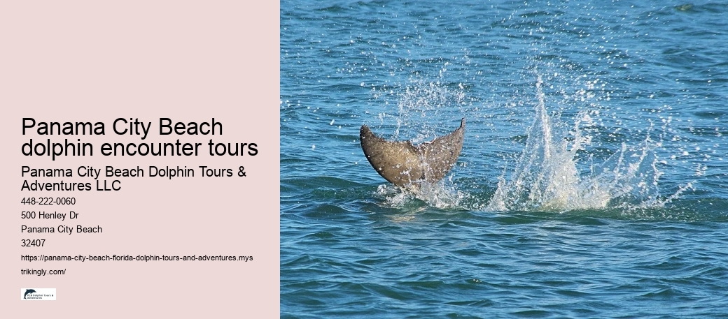 Panama City Beach dolphin encounter tours