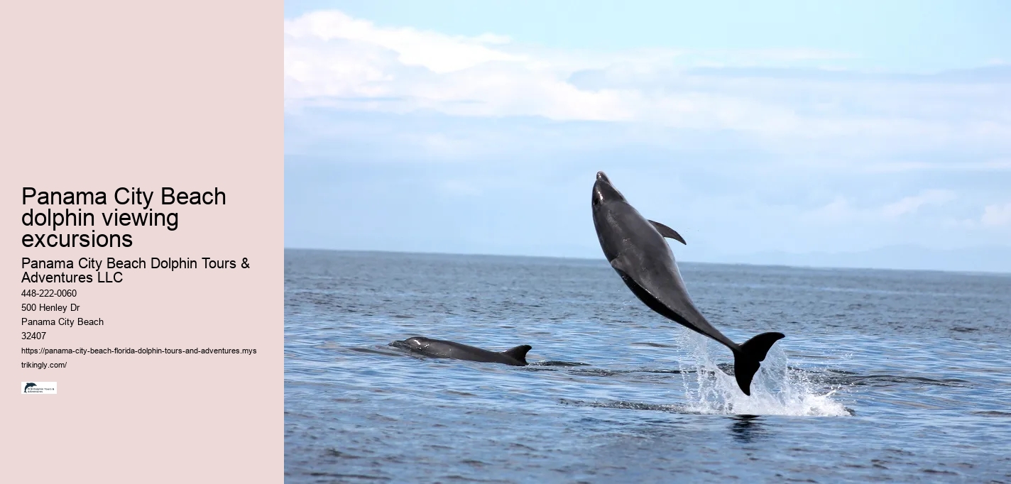 Panama City Beach dolphin viewing excursions