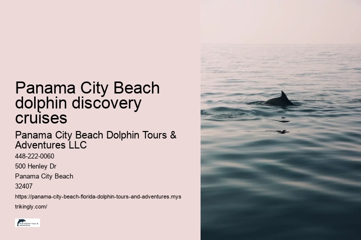 Panama City Beach dolphin discovery cruises