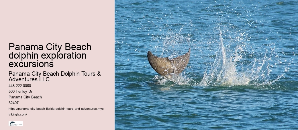Panama City Beach dolphin exploration excursions