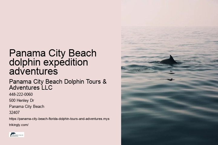 Panama City Beach dolphin expedition adventures