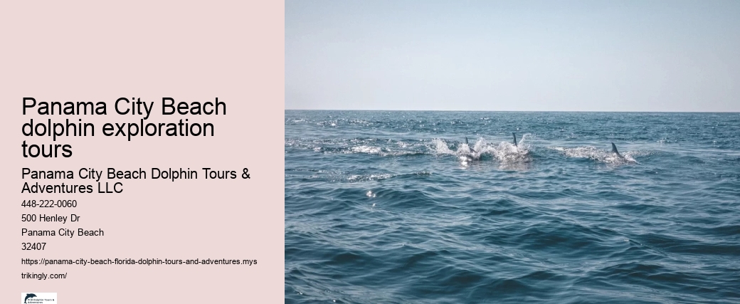 Panama City Beach dolphin exploration tours