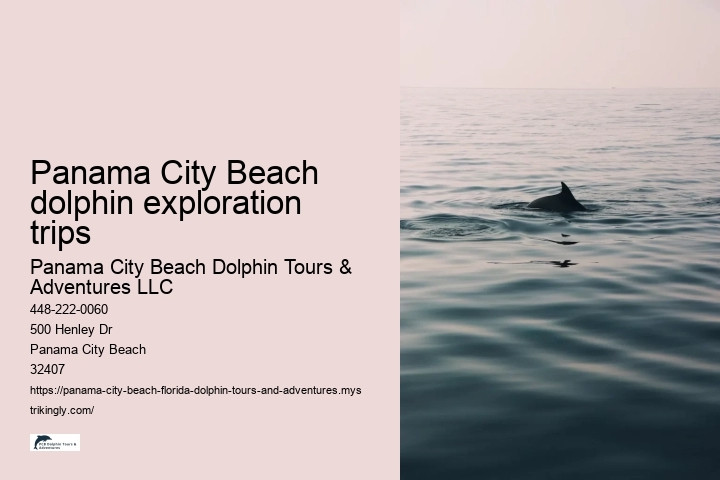 Panama City Beach dolphin exploration trips
