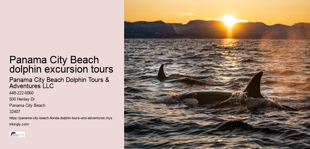 Panama City Beach dolphin excursion tours