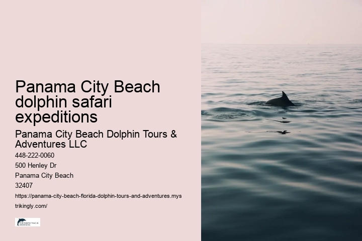 Panama City Beach dolphin safari expeditions