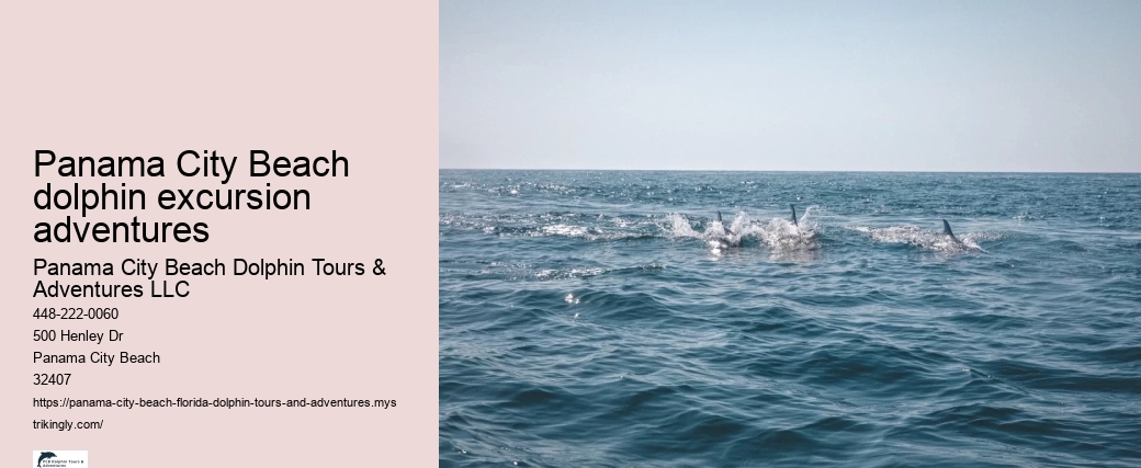 Panama City Beach dolphin excursion adventures