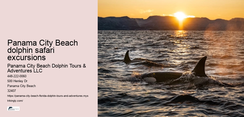 Panama City Beach dolphin safari excursions