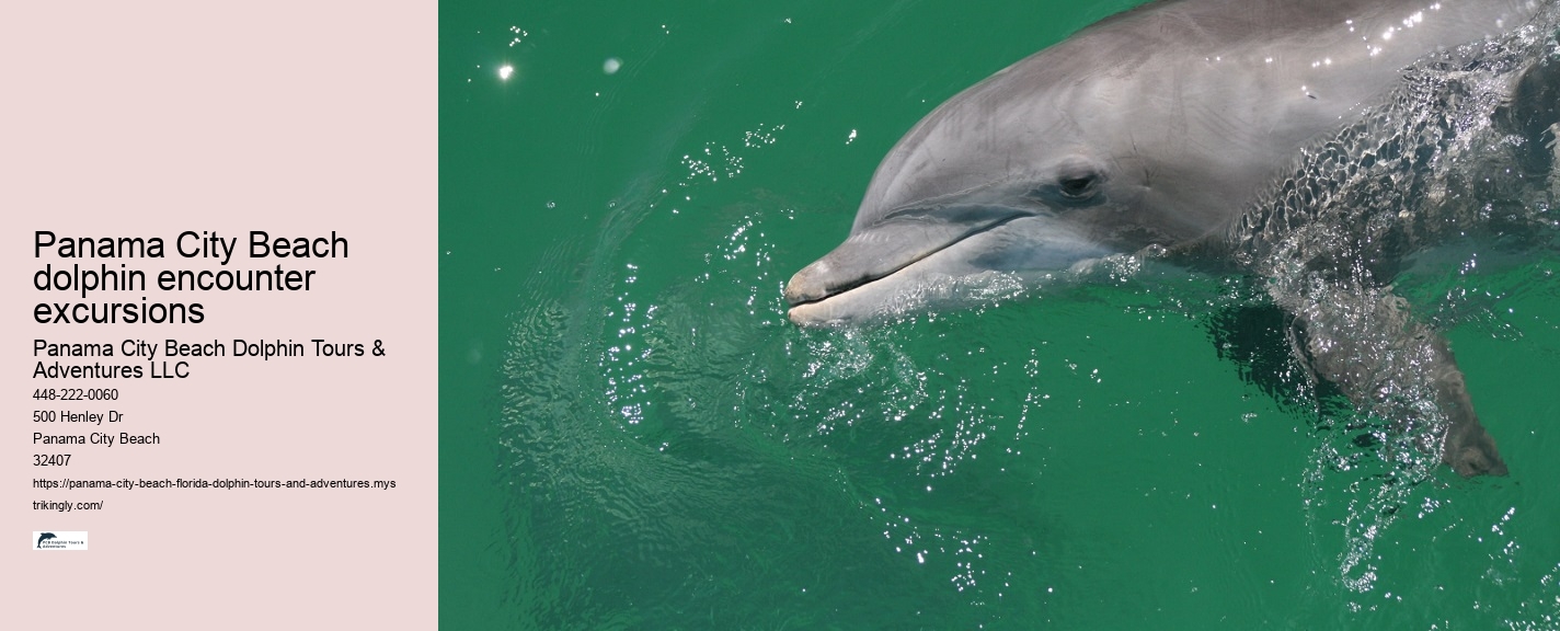 Panama City Beach Dolphin Tours & Adventures Free