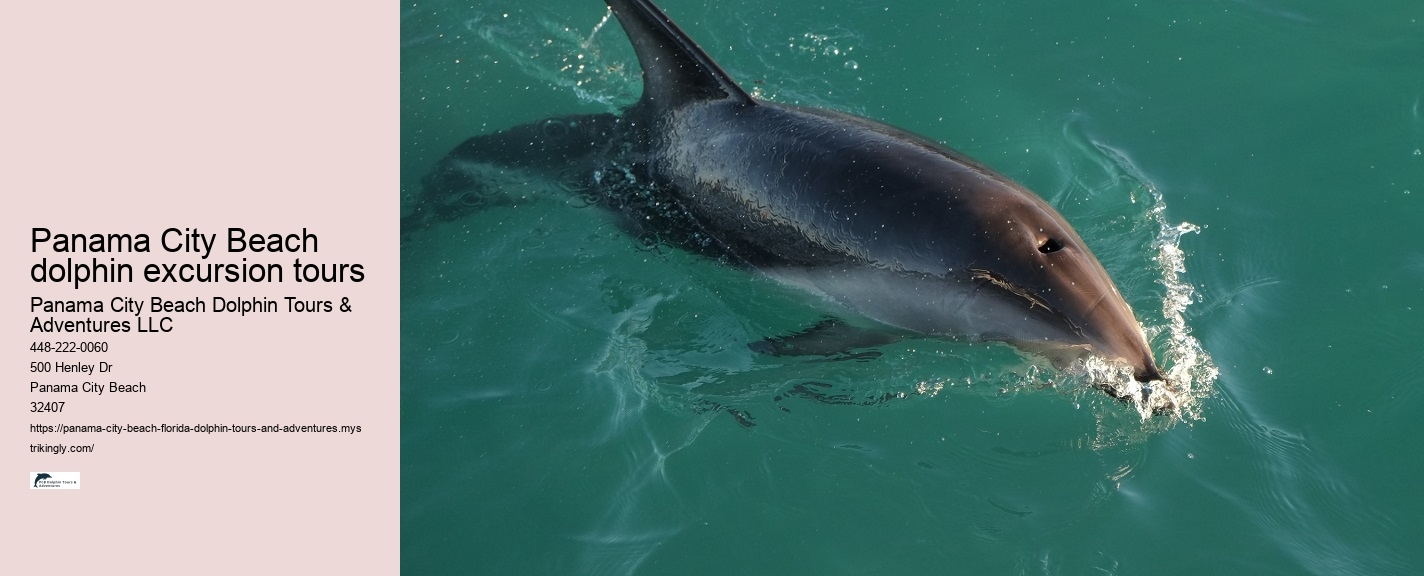 Panama City Beach Dolphin Tours & Adventures Skagway