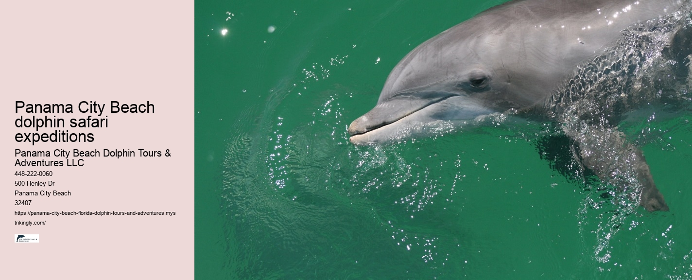Panama City Beach Dolphin Tours & Adventures Renewables