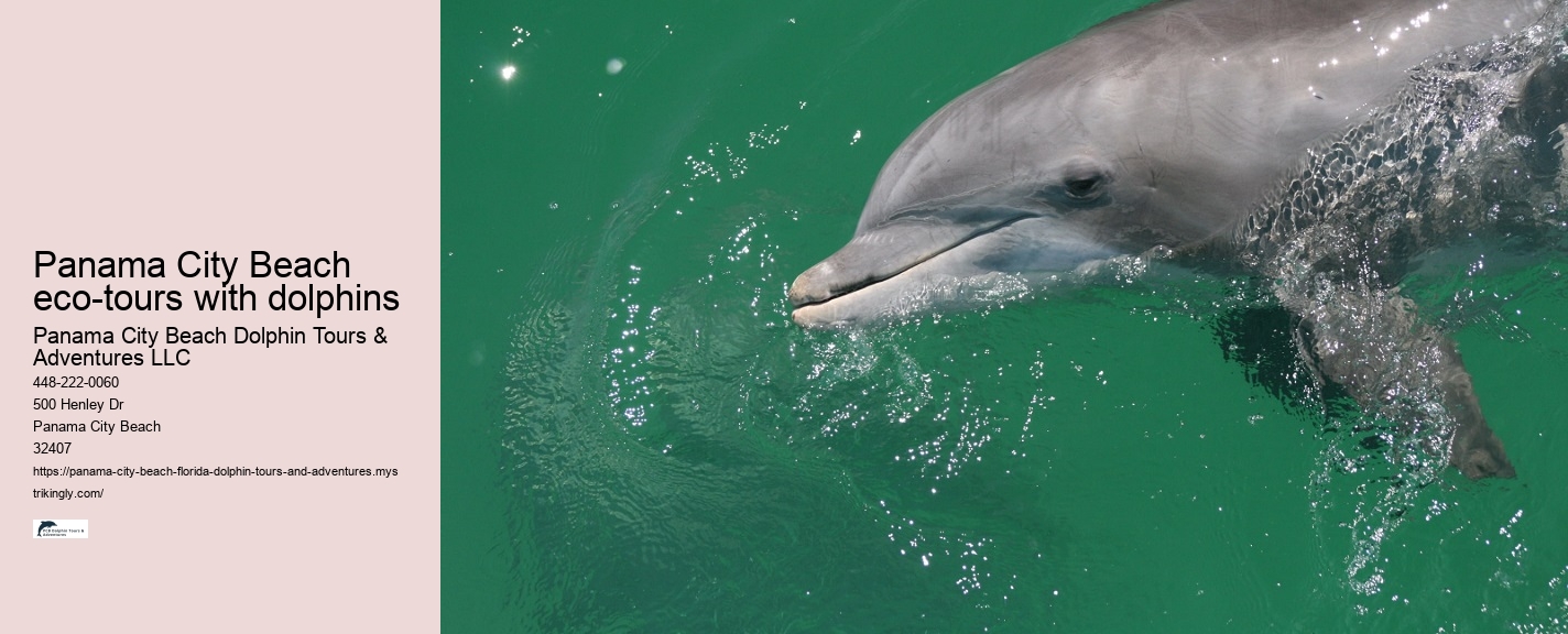 Panama City Beach Dolphin Tours & Adventures South Padre Island